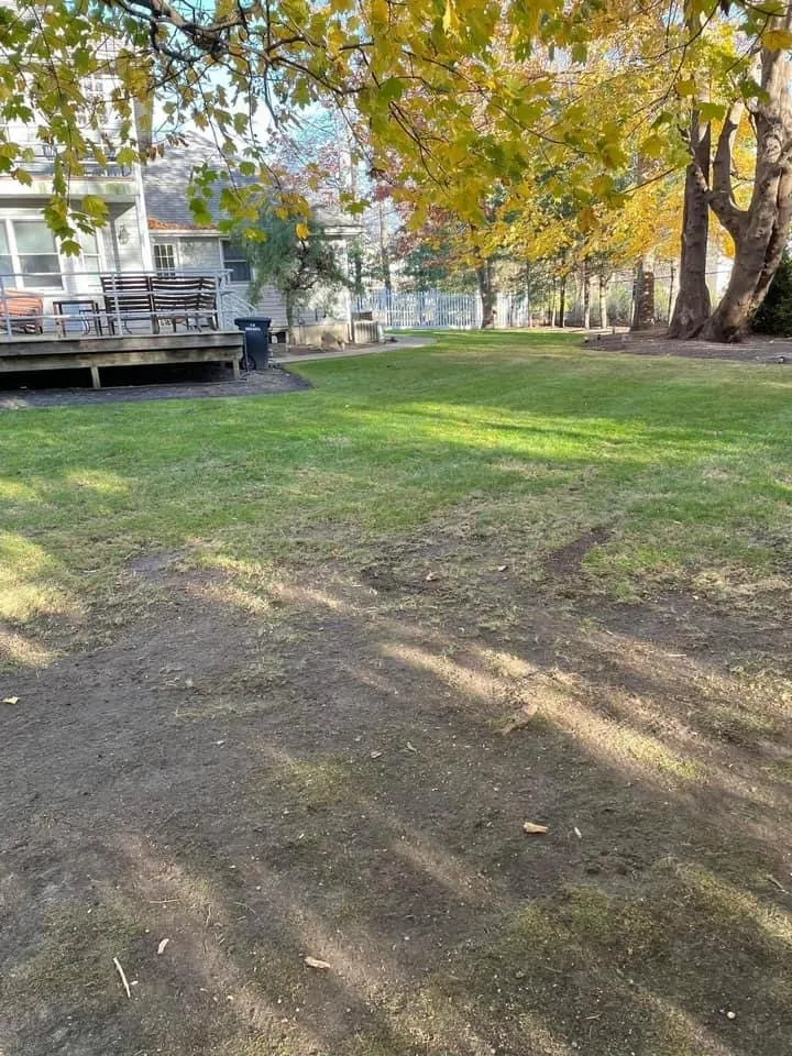 Reliable lawn mowing service in Mastic Beach, NY - Group A Landscape & Design