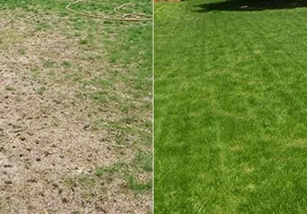 Expert yard maintenance with custom design in Mastic Beach, NY by Group A Landscape & Design