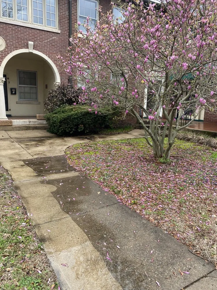 Affordable yard cleanup service in Knoxville, TN - Grove 31 Lawn Care and Landscaping