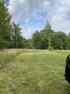 Grove 31 Lawn Care and Landscaping Logo