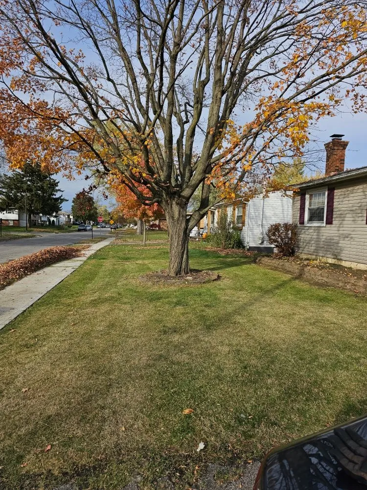 Reliable lawn mowing service in Grove City, OH - Grove City Lawn Solutions