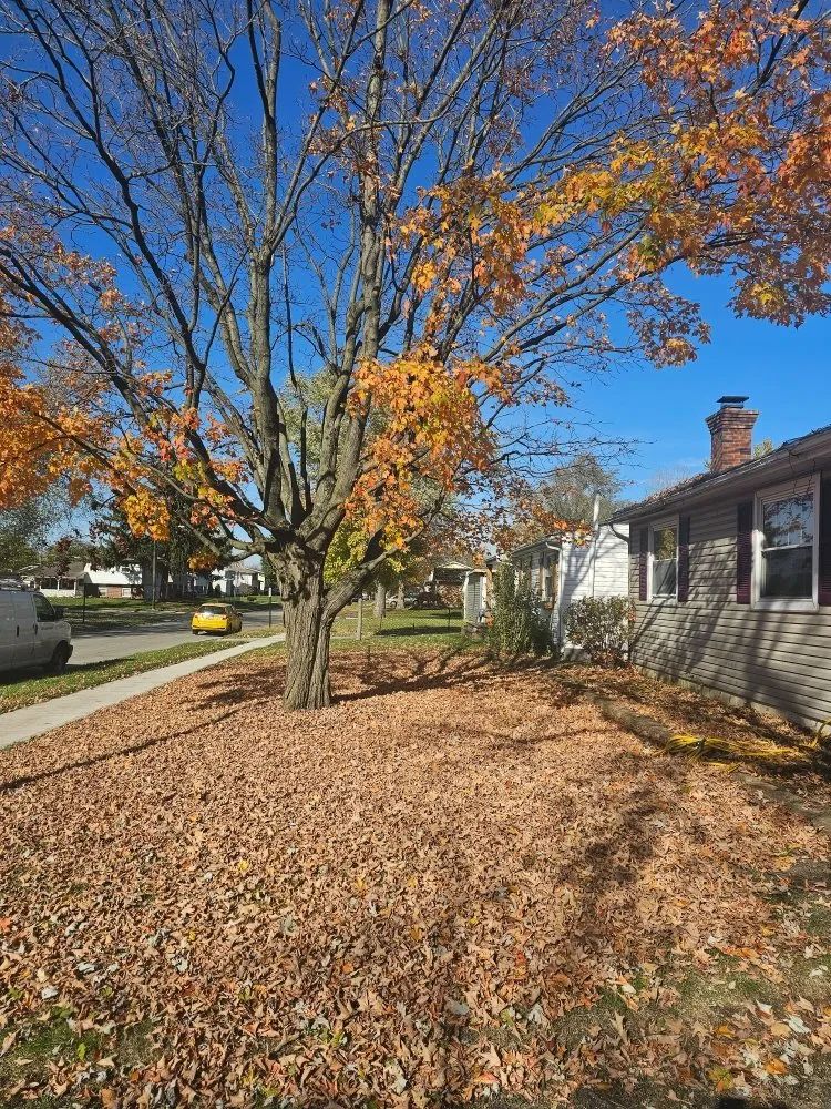 Top-rated landscape design for outdoor upgrades in Grove City, OH by Grove City Lawn Solutions