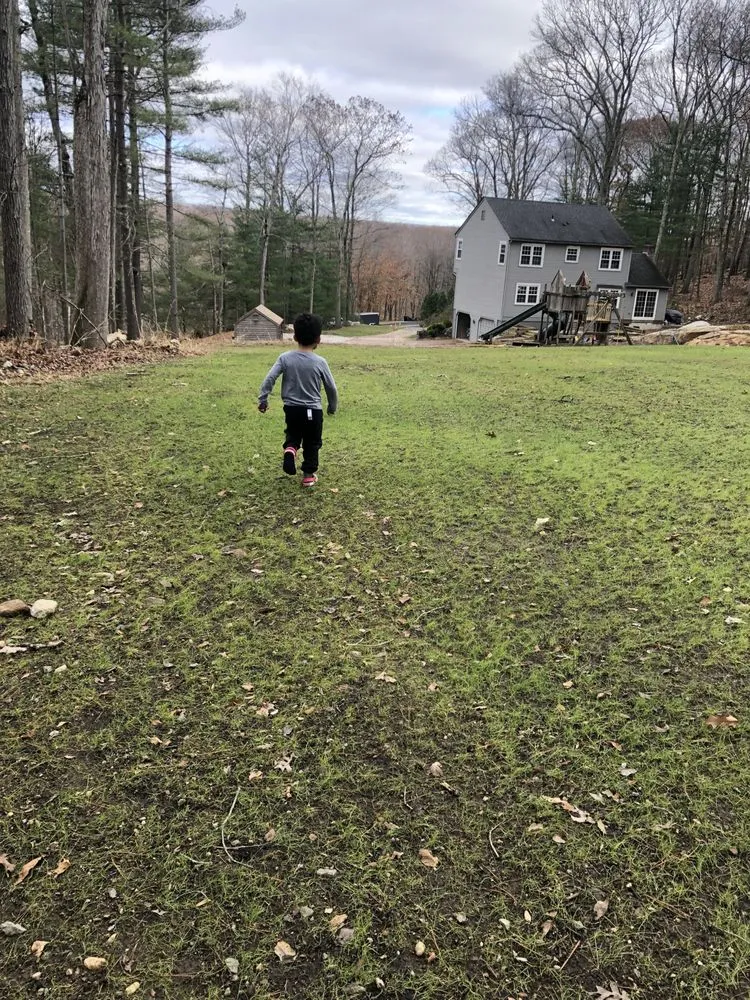 Expert yard maintenance for homes in Clinton, CT by Grove Gardens Landscaping