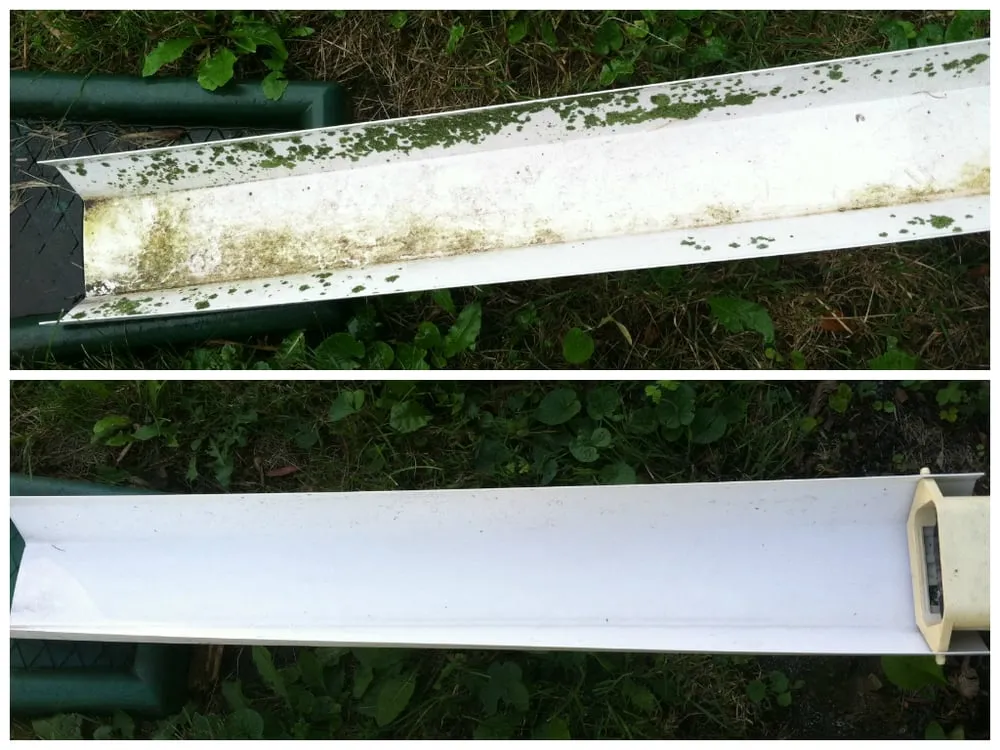 Reliable yard maintenance for homes in Freeport, IL by Grove Lawn and Landscape