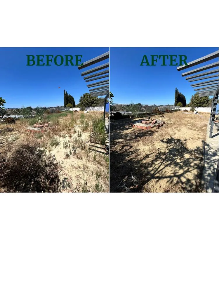 Reliable lawn mowing service for year-round maintenance across Chula Vista, CA - Grove Lawn Services