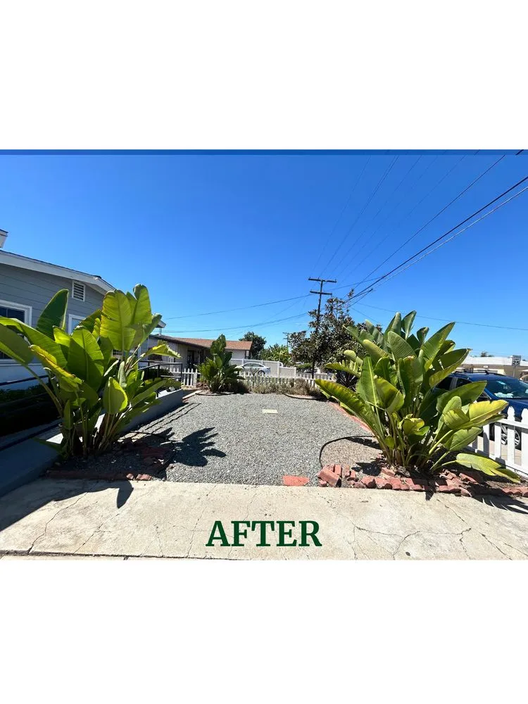 Custom garden landscaping with custom design across Chula Vista, CA - Grove Lawn Services