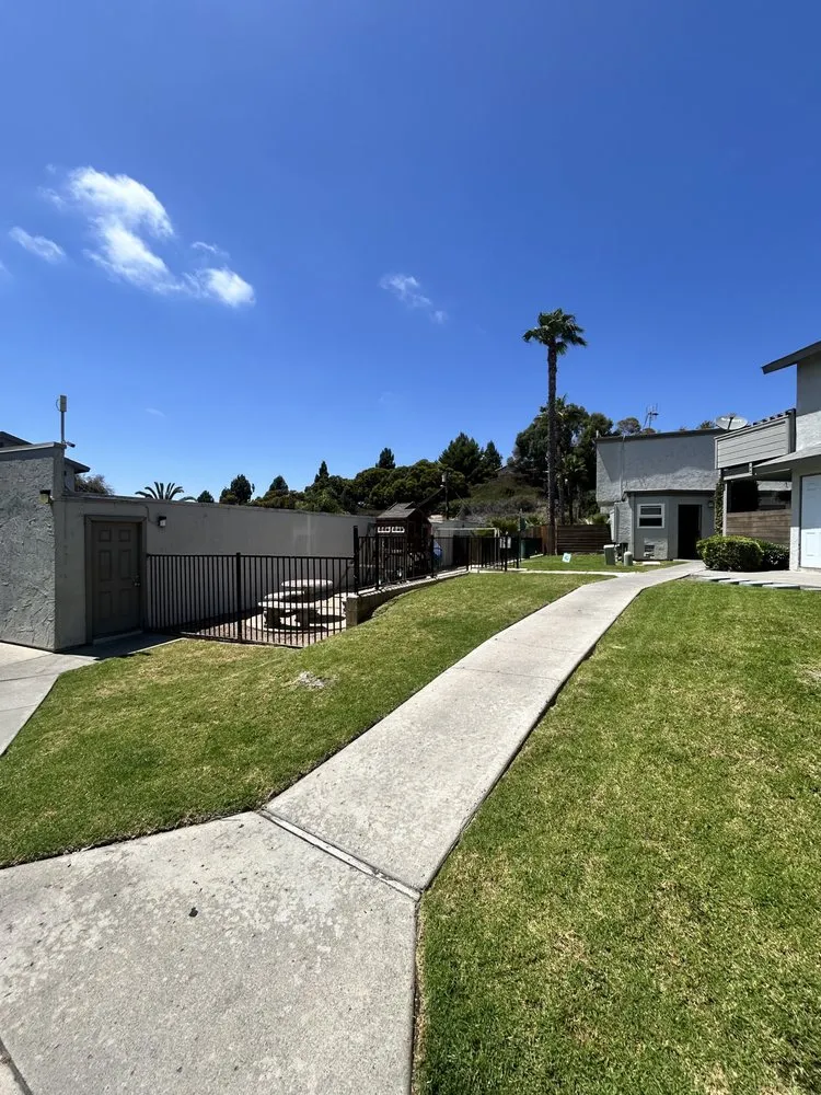 Professional yard maintenance with custom design in Chula Vista, CA by Grove Lawn Services