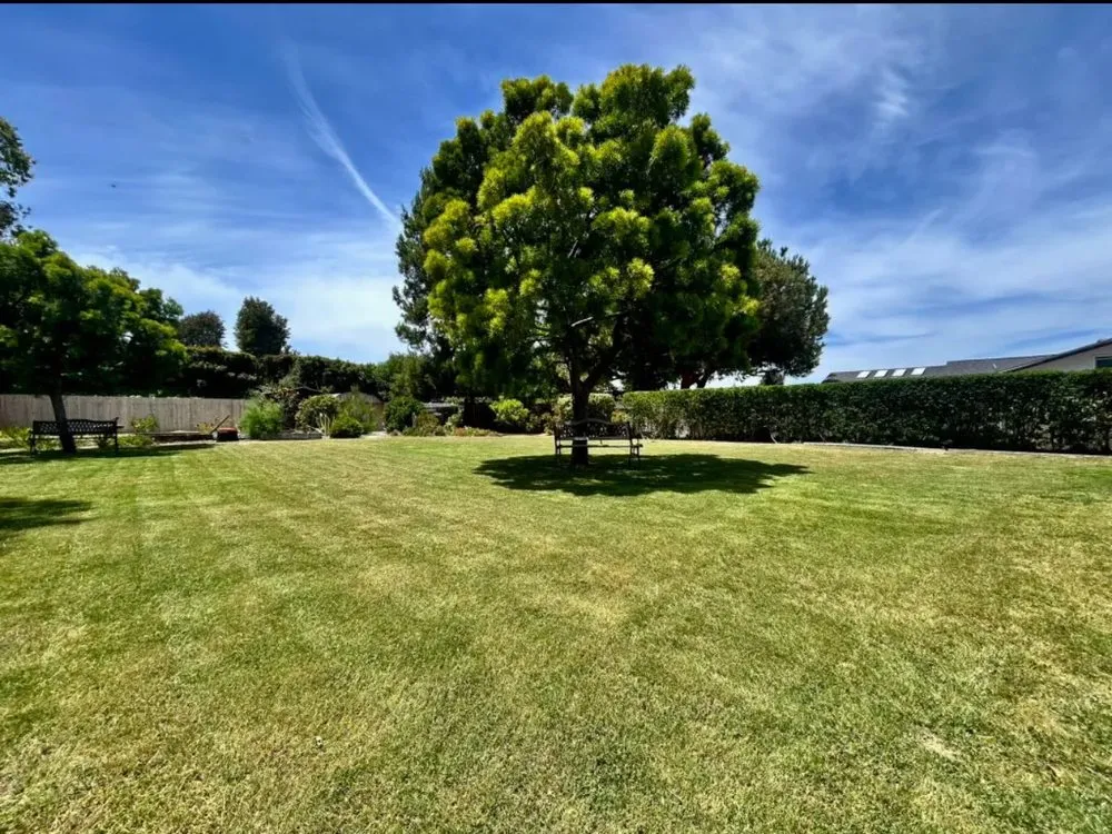 Trusted landscape design in Chula Vista, CA by Grove Lawn Services