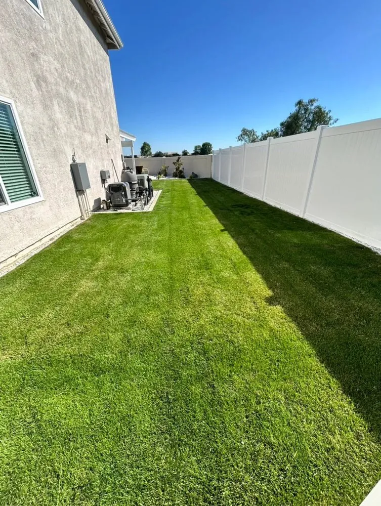 Top-rated lawn mowing service in Chula Vista, CA - Grove Lawn Services