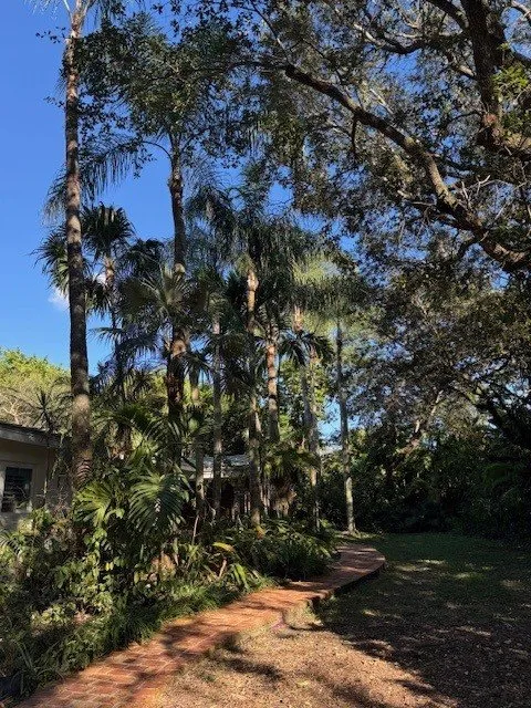 Custom lawn care service in South Miami, FL - Grove Tree Service & Landscaping