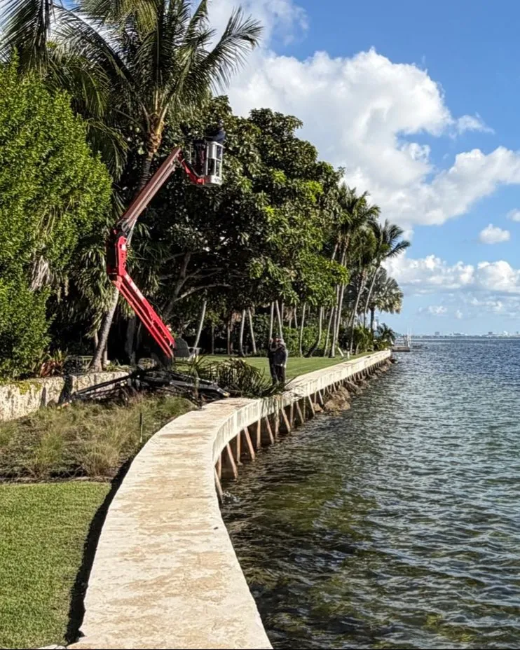 Professional lawn care service experts serving South Miami, FL - Grove Tree Service & Landscaping