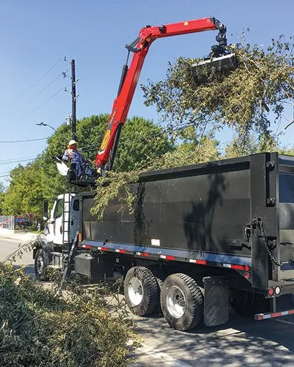 Top-rated lawn care service experts serving South Miami, FL - Grove Tree Service & Landscaping