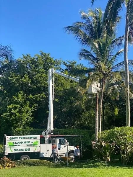 Affordable lawn mowing service experts serving South Miami, FL - Grove Tree Service & Landscaping