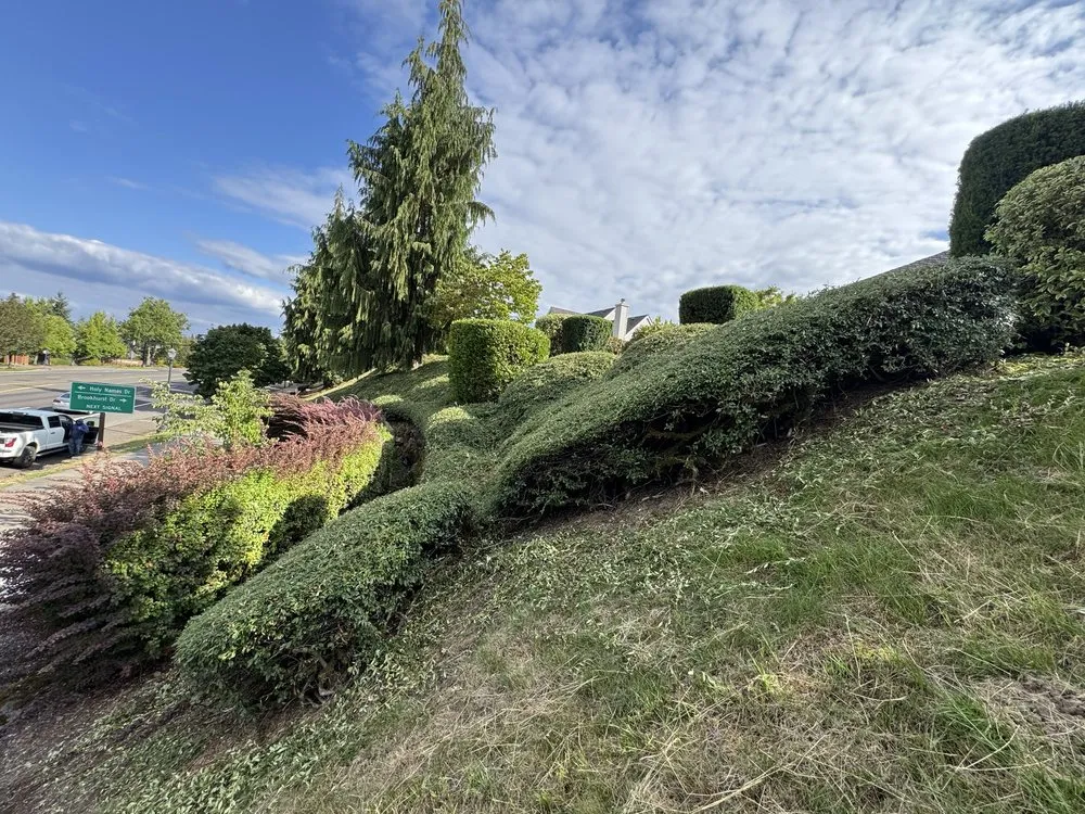 Professional residential landscaping experts serving Oregon City, OR - Grover's Landscape Services