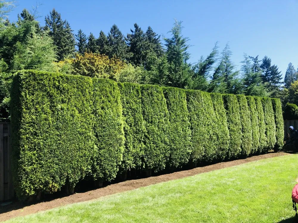 Top-rated garden landscaping for beautiful yards across Oregon City, OR - Grover's Landscape Services