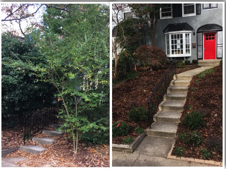 Custom landscape design for homes across Nokesville, VA - Groves Property Service