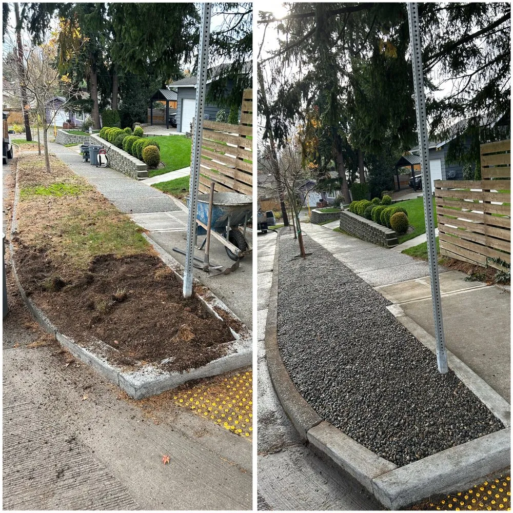Affordable lawn care service in Seattle, WA - Groview Landscaping