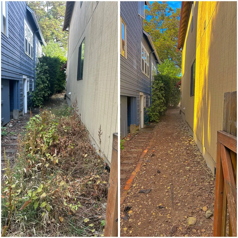 Custom yard cleanup service near you across Seattle, WA - Groview Landscaping