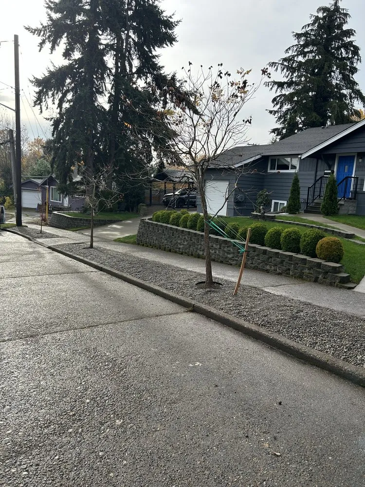 Professional landscaping services in Seattle, WA - Groview Landscaping