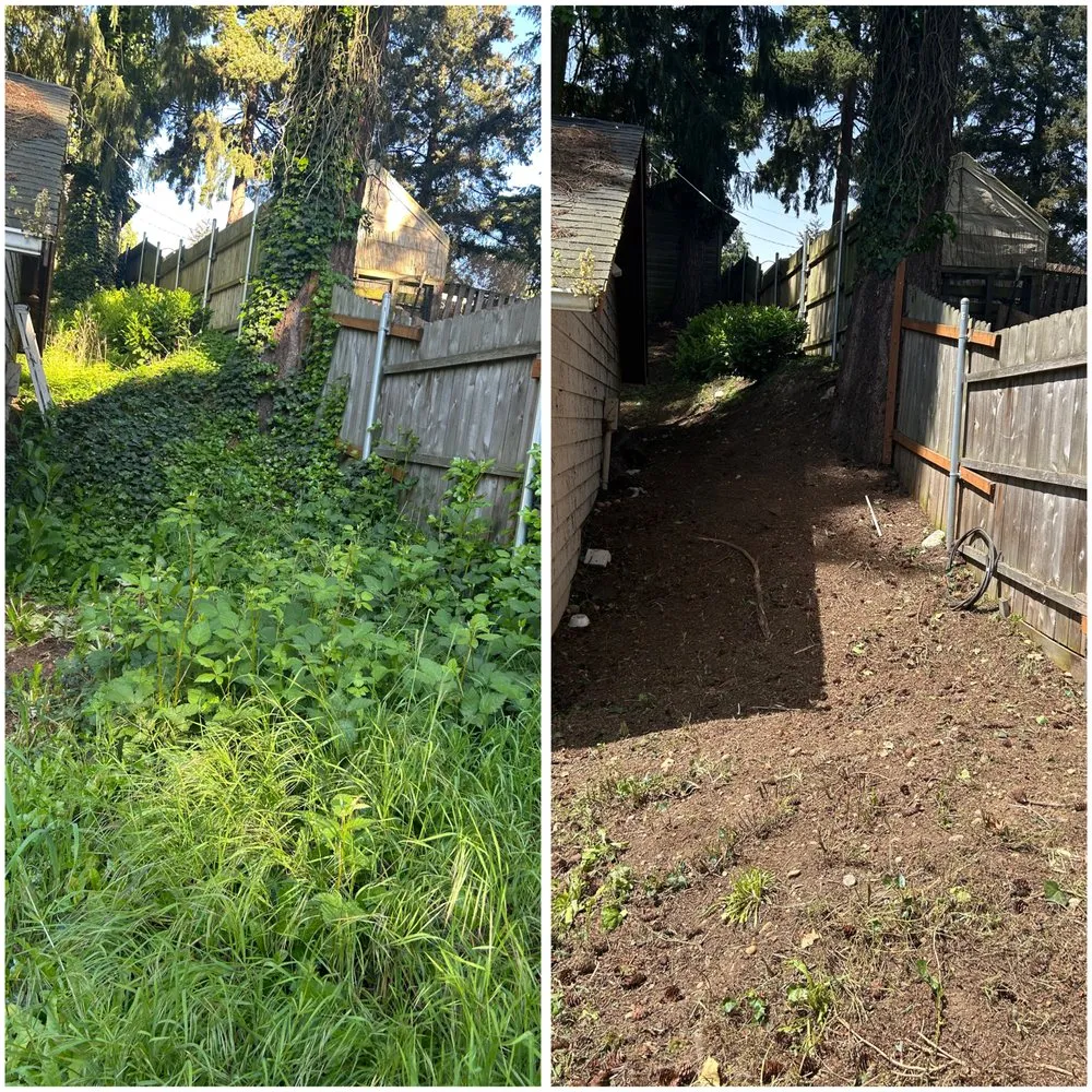 Top-rated lawn mowing service for beautiful yards in Seattle, WA by Groview Landscaping