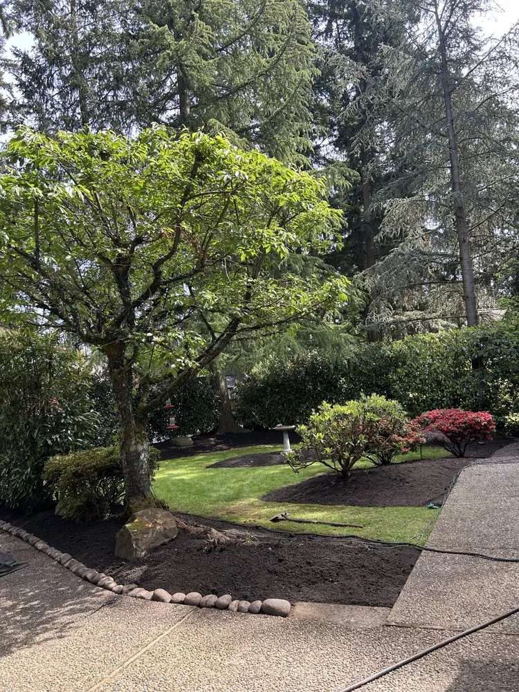 Local garden landscaping in Seattle, WA by Groview Landscaping