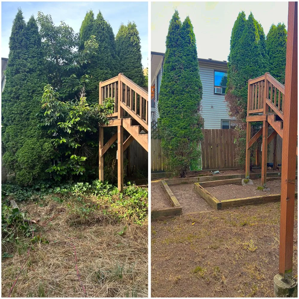 Local outdoor landscaping in Seattle, WA by Groview Landscaping