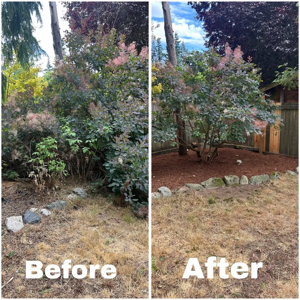 Affordable lawn mowing service for outdoor upgrades in Seattle, WA by Groview Landscaping