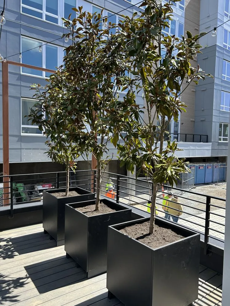 Professional landscape design for homes in Seattle, WA by Groview Landscaping