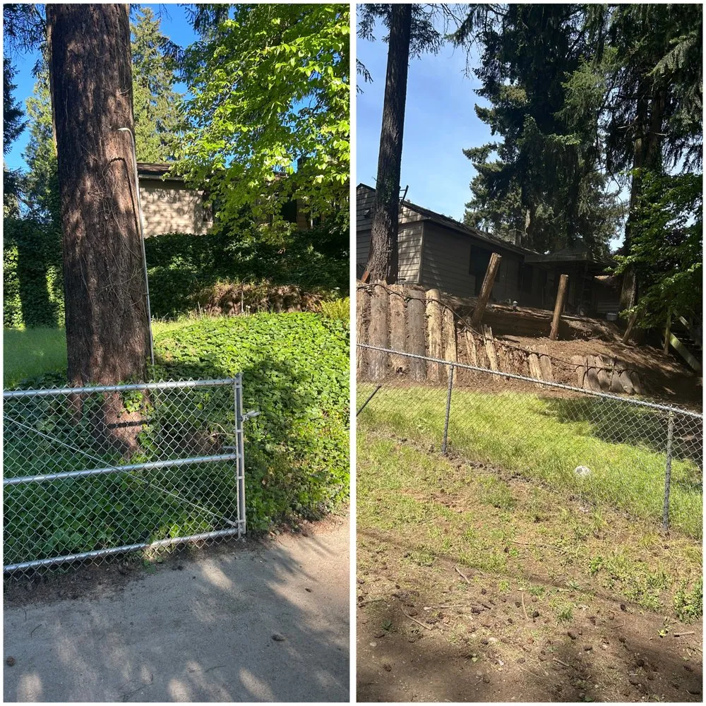 Affordable landscaping services for outdoor upgrades across Seattle, WA - Groview Landscaping