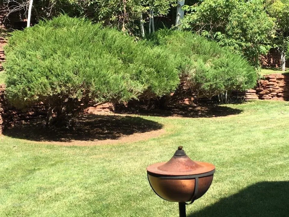 Top-rated landscape installation in Casper, WY by Grow & Mow