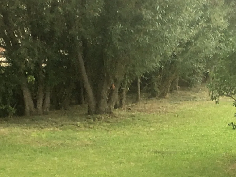 Trusted garden landscaping experts serving Casper, WY - Grow & Mow