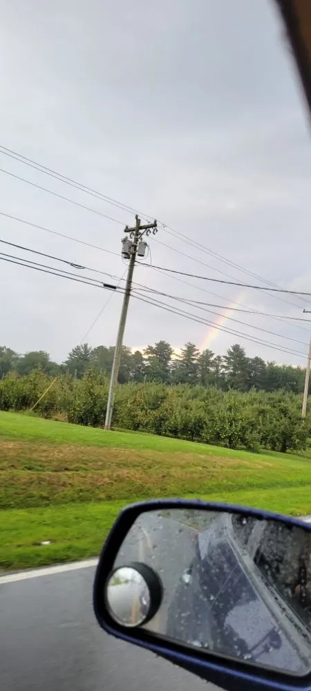 Expert landscape installation experts serving Hendersonville, NC - Grow -N- Mow