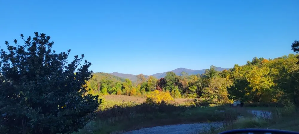 Affordable garden landscaping in Hendersonville, NC - Grow -N- Mow