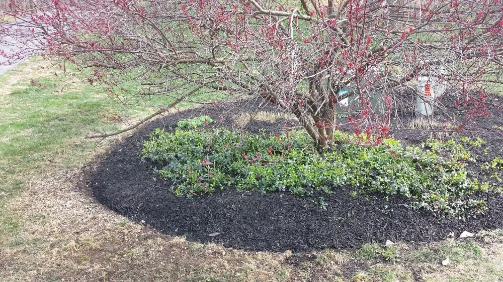 Reliable landscape design for beautiful yards in Dover, PA by Grow 2 Mow Lawn Care