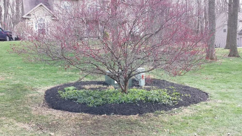 Expert garden landscaping in Dover, PA by Grow 2 Mow Lawn Care