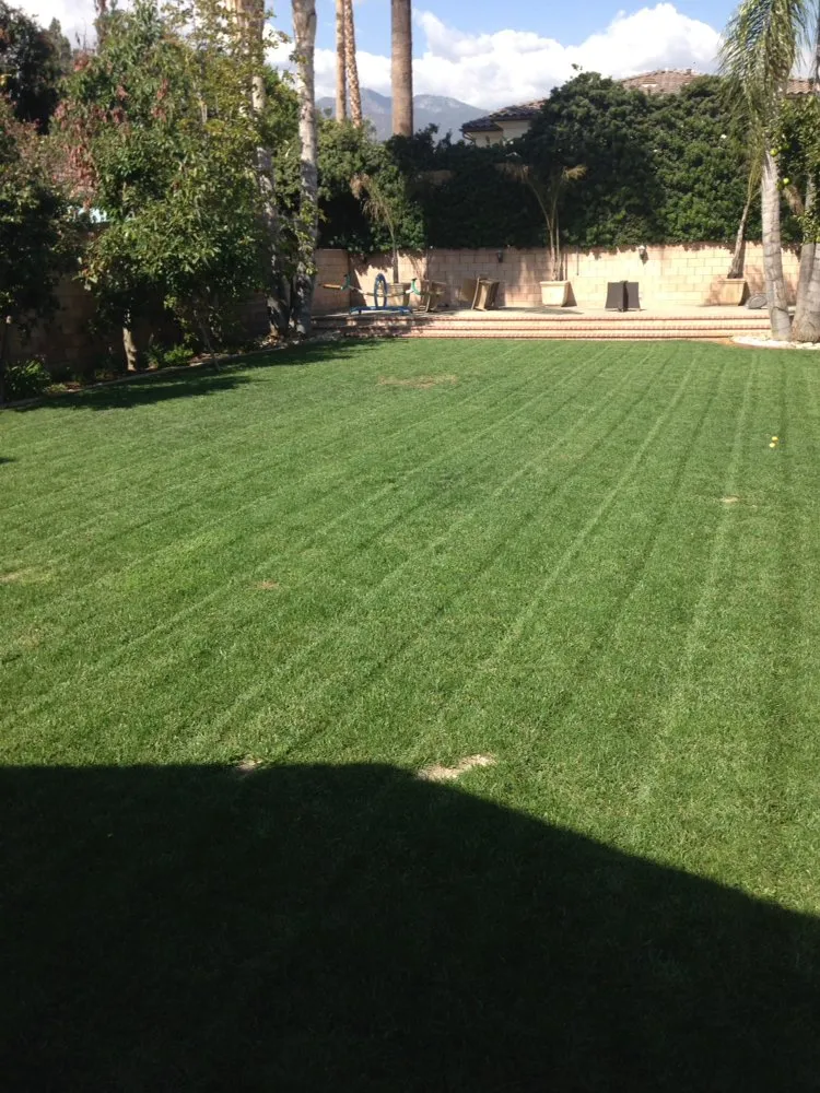Expert landscaping services in El Monte, CA - Grow Control Landscape