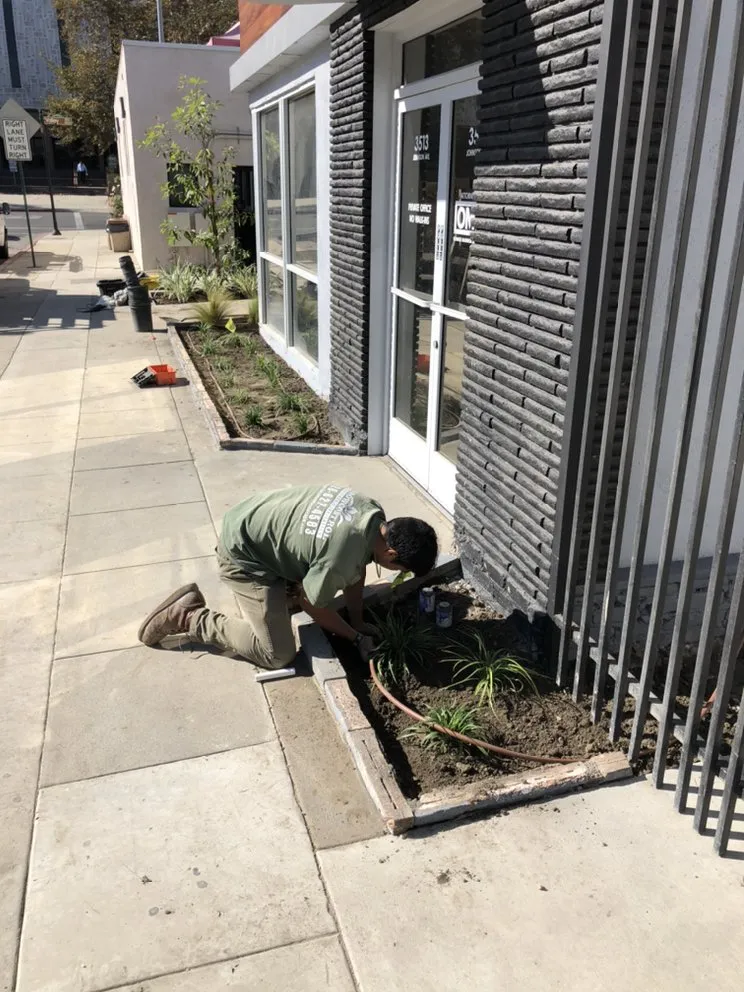 Affordable outdoor landscaping near you across El Monte, CA - Grow Control Landscape