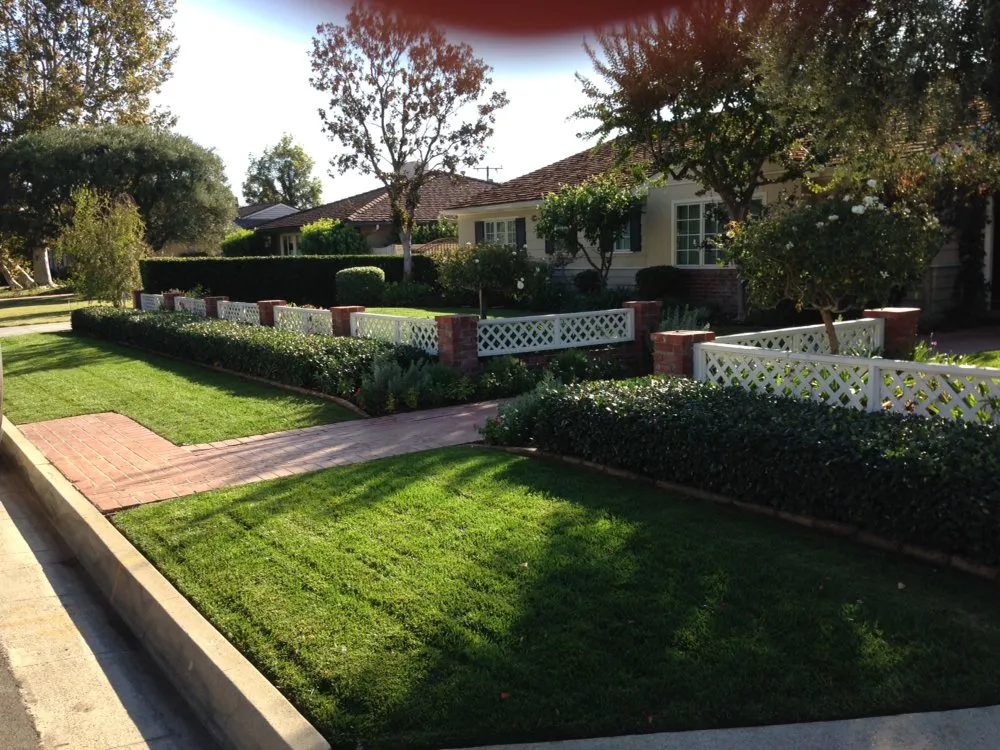 Affordable yard cleanup service experts serving El Monte, CA - Grow Control Landscape