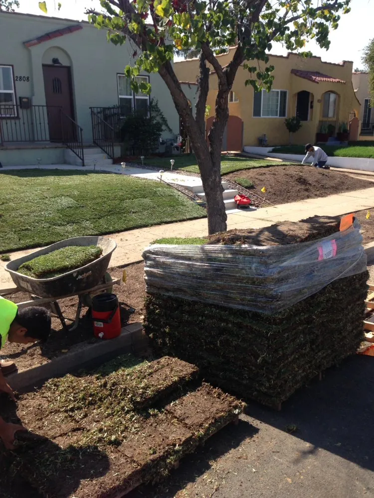 Custom yard cleanup service for homes across El Monte, CA - Grow Control Landscape