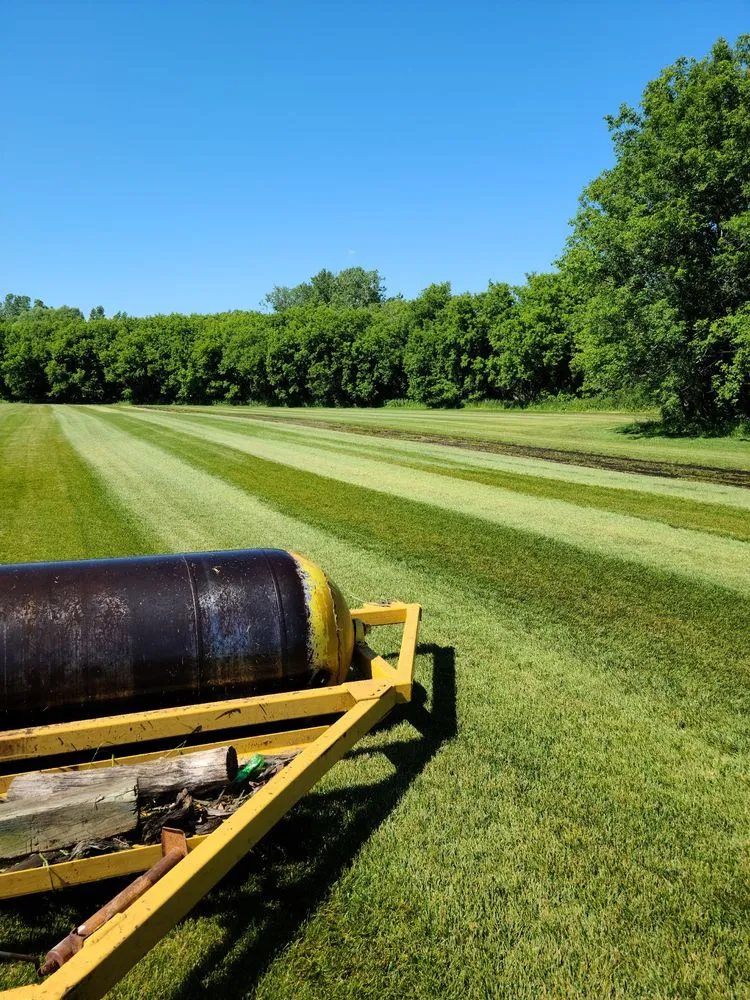 Affordable yard cleanup service in Hazel Park, MI - Grow Earth