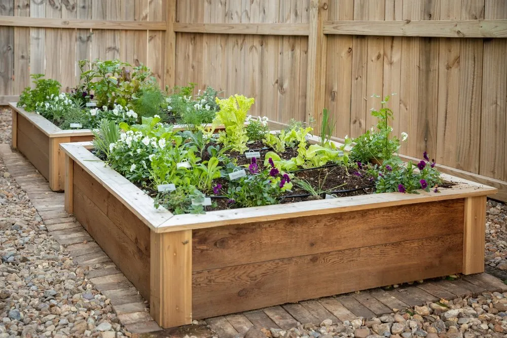 Trusted residential landscaping in Plano, TX - GROW Edible Landscape Design