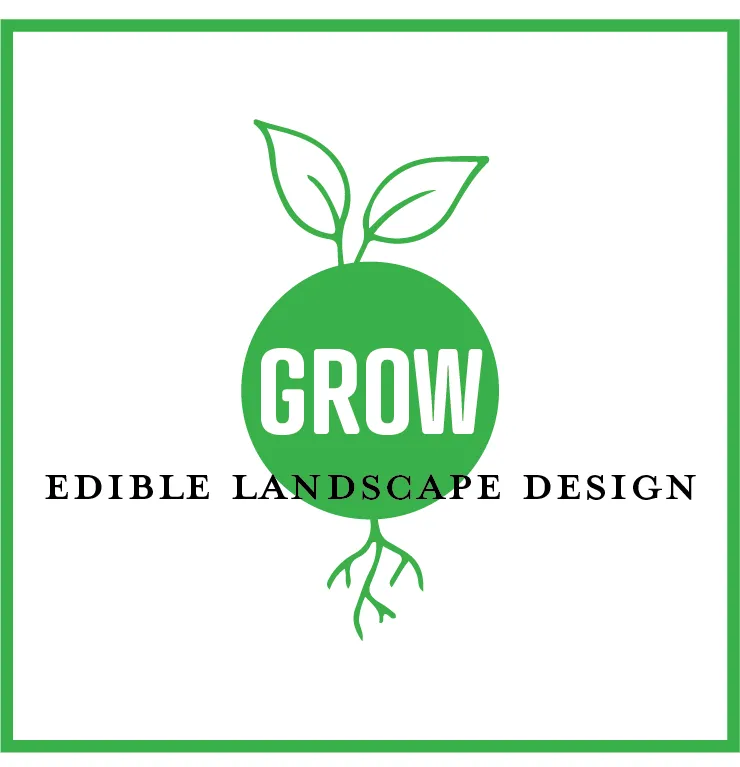 Reliable yard maintenance in Plano, TX by GROW Edible Landscape Design