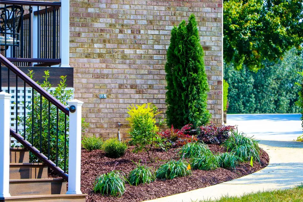 Expert yard maintenance in Fort Mill, SC by Grow Green Landscape Group