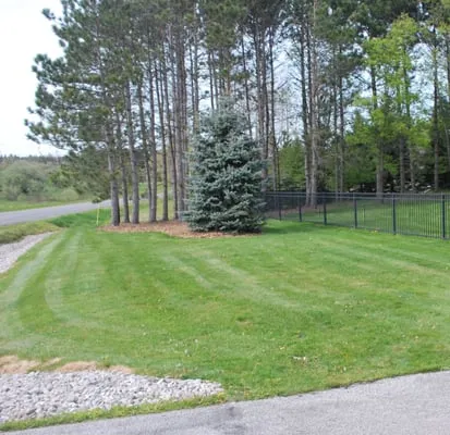 Grow Green Lawn Care