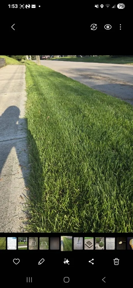 Local residential landscaping for residential properties in Crawfordsville, IN by Grow Green Lawn Services