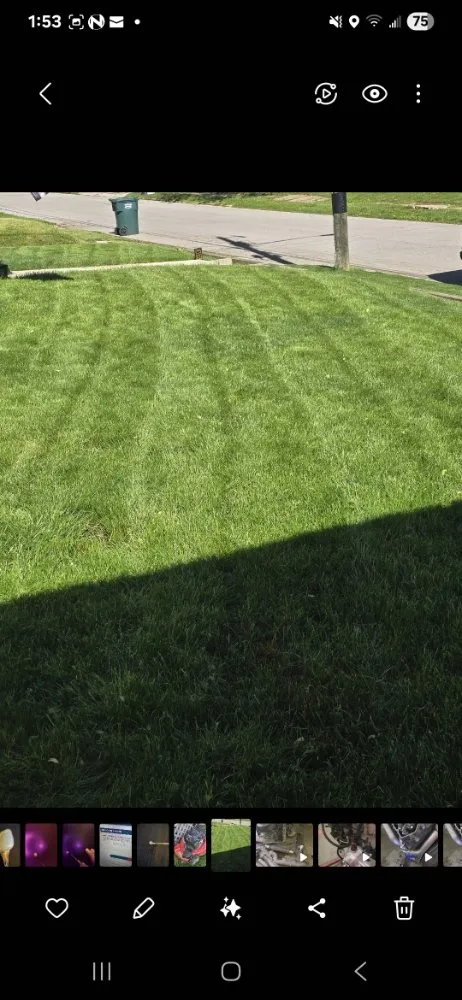 Reliable landscape installation in Crawfordsville, IN - Grow Green Lawn Services