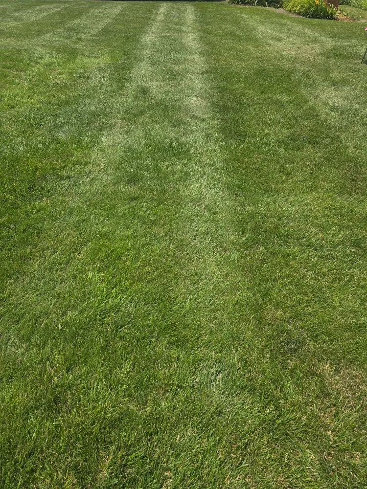 Professional residential landscaping in Crawfordsville, IN by Grow Green Lawn Services