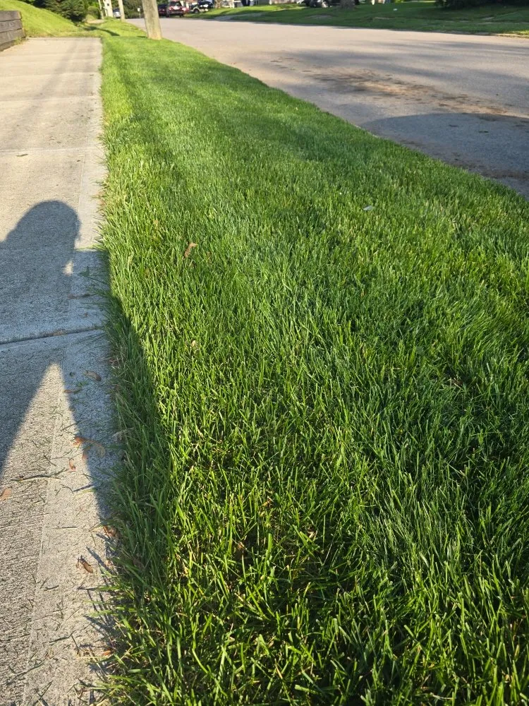 Custom yard maintenance in Crawfordsville, IN by Grow Green Lawn Services