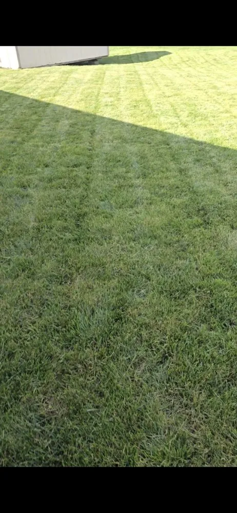 Top-rated garden landscaping in Crawfordsville, IN by Grow Green Lawn Services