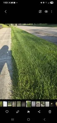 Grow Green Lawn Services